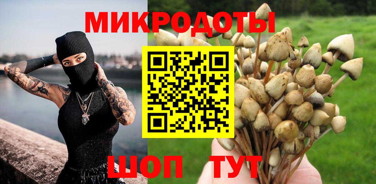 Псилоцибиновые грибы Psilocybine cubensis  Вход с VPN  Выборг 